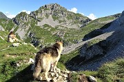 27 E siamo al Passo di Gabbia (2050 m) con vista in Corna Piana e sul Mandrone